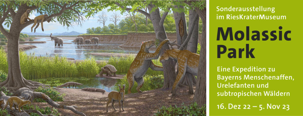 Molassic Park Banner Text